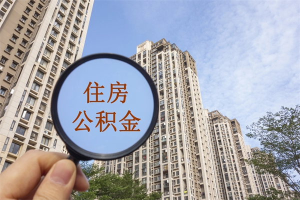 临朐去年11月提的公积金今年几月（去年12月提的公积金今年几月可以提）